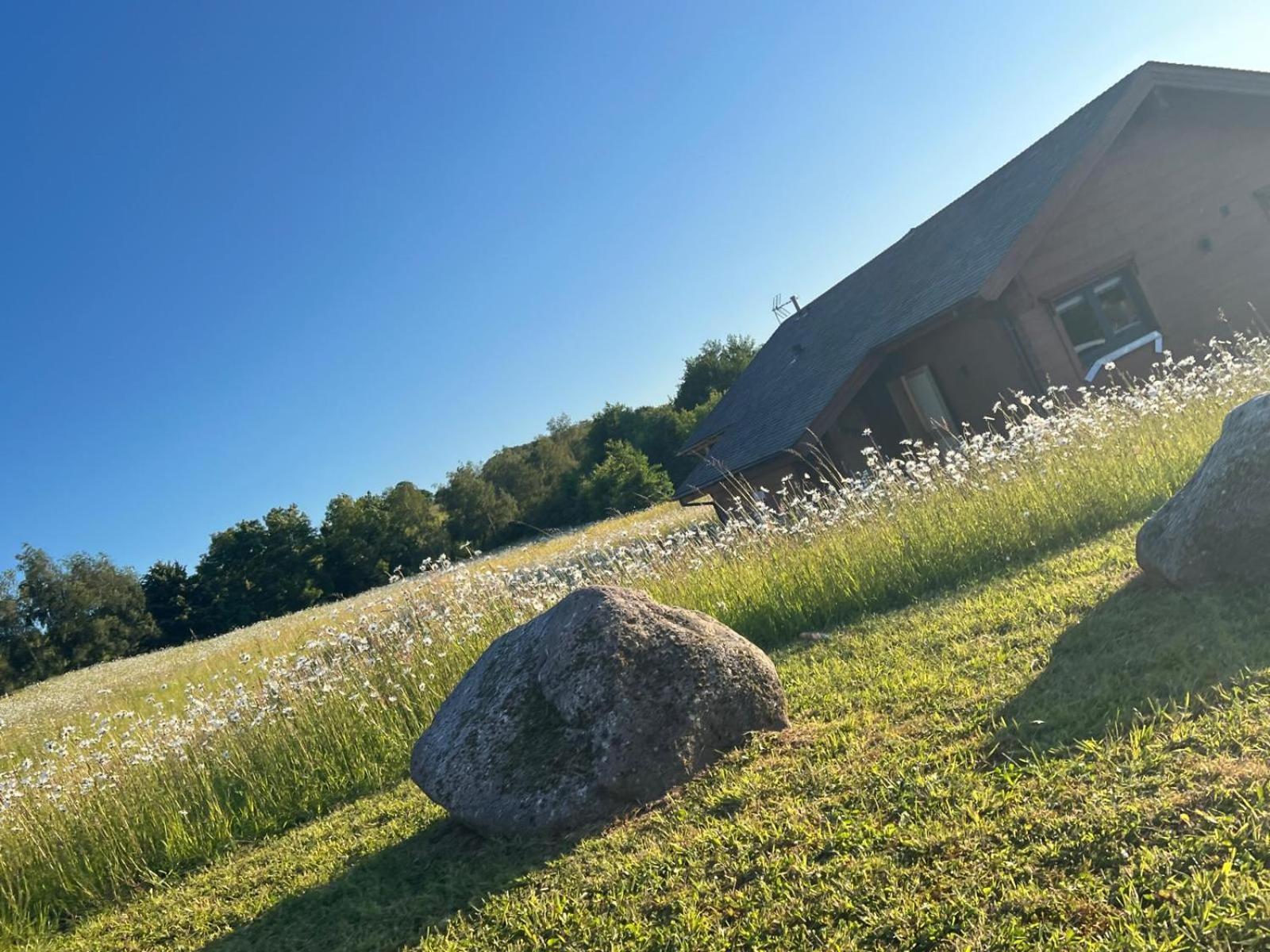 Cuddfan Lodge On A Gorgeous Private Lake Newport  Exterior photo